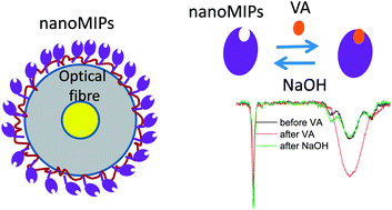 Graphical abstract: Selective vancomycin detection using optical fibre long period gratings functionalised with molecularly imprinted polymer nanoparticles