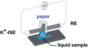 Graphical abstract: Potentiometric sensing utilizing paper-based microfluidic sampling
