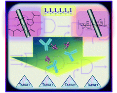 Graphical abstract: A model system for targeted drug release triggered by biomolecular signals logically processed through enzyme logic networks