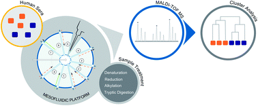 Graphical abstract: A mesofluidic platform integrating on-chip probe ultrasonication for multiple sample pretreatment involving denaturation, reduction, and digestion in protein identification assays by mass spectrometry