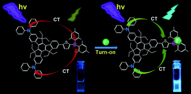 Graphical abstract: Truxene-cored π-expanded triarylborane dyes as single- and two-photon fluorescent probes for fluoride
