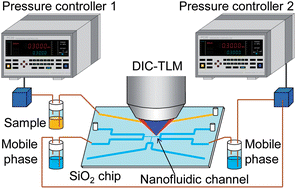 Graphical abstract: Femtoliter-scale separation and sensitive detection of nonfluorescent samples in an extended-nano fluidic device