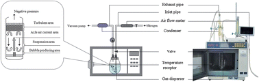 Graphical abstract: An effective negative pressure cavitation-microwave assisted extraction for determination of phenolic compounds in P. calliantha H. Andr.