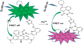 Graphical abstract: A highly selective and efficient single molecular FRET based sensor for ratiometric detection of Fe3+ ions