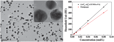 Graphical abstract: Facile formation of folic acid-modified dendrimer-stabilized gold–silver alloy nanoparticles for potential cellular computed tomography imaging applications