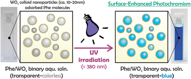 Graphical abstract: Surface-enhanced photochromic phenomena of phenylalanine adsorbed on tungsten oxide nanoparticles: a novel approach for “label-free” colorimetric sensing