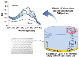 Graphical abstract: Development of a high-throughput assay for measuring lipase activity using natural triacylglycerols coated on microtiter plates