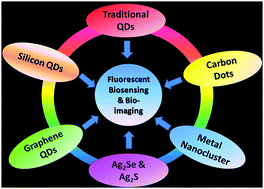 Graphical abstract: Quantum dots for fluorescent biosensing and bio-imaging applications