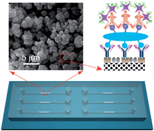 Graphical abstract: A 3D porous polymer monolith-based platform integrated in poly(dimethylsiloxane) microchips for immunoassay