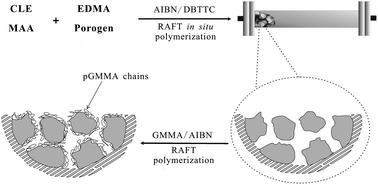 Graphical abstract: Preparation of clenbuterol imprinted monolithic polymer with hydrophilic outer layers by reversible addition–fragmentation chain transfer radical polymerization and its application in the clenbuterol determination from human serum by on-line solid-phase extraction/HPLC analysis