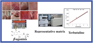 Graphical abstract: Selection of a representative matrix for the multiresidue analysis of nine β-agonists in animal tissues and urine with LC-MS/MS