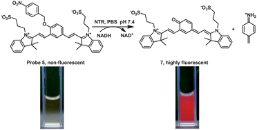 Graphical abstract: A novel near-infrared fluorescent probe for selectively sensing nitroreductase (NTR) in an aqueous medium
