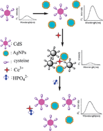 Graphical abstract: Novel switchable sensor for phosphate based on the distance-dependant fluorescence coupling of cysteine-capped cadmium sulfide quantum dots and silver nanoparticles