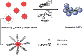 Graphical abstract: pH-independent optical sensing of heparin based on ionic liquid-capped gold nanoparticles