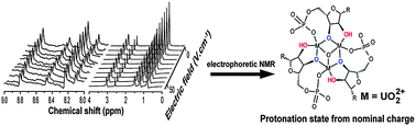Graphical abstract: The protonation state and binding mode in a metal coordination complex from the charge measured in solution by electrophoretic NMR