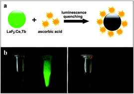 Graphical abstract: Determination of ascorbic acid via luminescence quenching of LaF3:Ce,Tb nanoparticles synthesized through a microwave-assisted solvothermal method