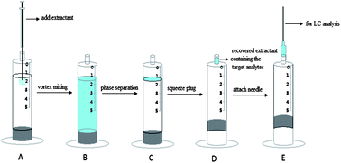 Graphical abstract: One-step in-syringe vortex-assisted liquid–liquid microextraction for the analysis of three fungicides in aqueous samples