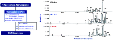 Graphical abstract: Comparative profiling of volatile composition from different Acorus species by solid-phase microextraction-gas chromatography/mass spectrometry