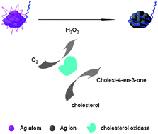 Graphical abstract: DNA-stabilized silver nanoclusters with guanine-enhanced fluorescence as a novel indicator for enzymatic detection of cholesterol