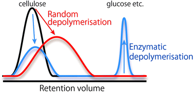 Graphical abstract: Direct HPILC analysis of cellulose depolymerisation in ionic liquids