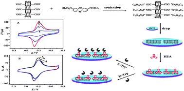 Graphical abstract: A reagentless enantioselective sensor for tryptophan enantiomers via nanohybrid matrices