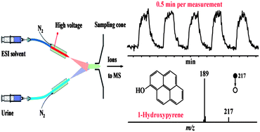 Graphical abstract: Direct analysis of urinary 1-hydroxypyrene using extractive electrospray ionization ion trap tandem mass spectrometry