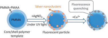 Graphical abstract: Fluorescent silver nanoclusters embedded with polymer nanoparticles for sensing copper ions