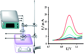 Graphical abstract: Combined microporous membrane-based liquid–liquid–liquid microextraction and in situ differential pulse voltammetry for highly sensitive detection of trimipramine