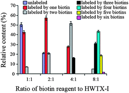 Graphical abstract: Biotin labeling and receptor analysis of huwentoxin-I