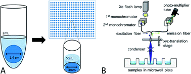 Graphical abstract: A high-throughput method for testing biofouling and cleaning of polymer hydrogel materials used in medical devices
