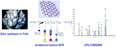 Graphical abstract: Rapid determination of trace sulfonamides in fish by graphene-based SPE coupled with UPLC/MS/MS