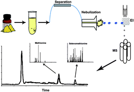 Graphical abstract: Selenium speciation by liquid chromatography-particle beam/mass spectrometry (LC-PB/MS): application to a yeast reference material and synthetic urine