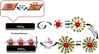 Graphical abstract: Urease capacitive biosensors using functionalized magnetic nanoparticles for atrazine pesticide detection in environmental samples