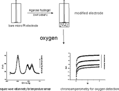 Graphical abstract: A hydrogel modified electrode for application as a voltammetric temperature sensor and its use in oxygen detection