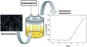 Graphical abstract: Simple and direct potentiometric determination of potassium ions in biodiesel microemulsions at a glassy carbon electrode modified with nickel(ii) hexacyanoferrate nanoparticles