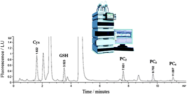 Graphical abstract: Separation and quantification of cysteine, glutathione and phytochelatins in rice (Oryza sativa L.) upon cadmium exposure using reverse phase ultra performance liquid chromatography (RP-UPLC) with fluorescence detection