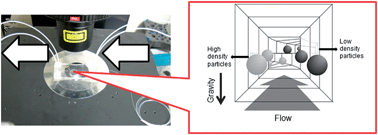 Graphical abstract: Simple density-based particle separation in a microfluidic chip