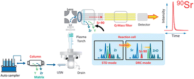 Graphical abstract: Sequential inductively coupled plasma quadrupole mass-spectrometric quantification of radioactive strontium-90 incorporating cascade separation steps for radioactive contamination rapid survey