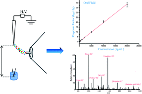 Graphical abstract: Direct detection of trace level illicit drugs in human body fluids by probe electrospray ionization mass spectrometry (PESI-MS)