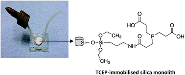 Graphical abstract: Fabrication of a TCEP-immobilised monolithic silica microchip for reduction of disulphide bonds in proteins