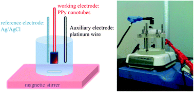 Graphical abstract: Polypyrrole nanotubes for electrochemically controlled solid-phase extraction of anions and cations