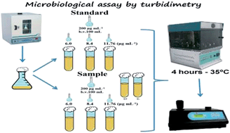 Graphical abstract: Development and validation of a microbiological assay by turbidimetry to determine the potency of cefazolin sodium in the lyophilized powder form