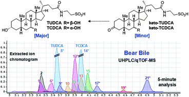 Graphical abstract: Rapid chemical analysis of bear bile: 5 minute separation and quantitation of bile acids using UHPLC–qTOF-MS