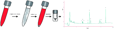 Graphical abstract: Ultrasound-vortex-assisted dispersive liquid–liquid microextraction coupled with gas chromatography with a nitrogen–phosphorus detector for simultaneous and rapid determination of organophosphorus pesticides and triazines in wine