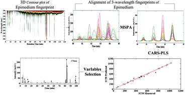 Graphical abstract: Evaluation and prediction of the antioxidant activity of Epimedium from multi-wavelength chromatographic fingerprints and chemometrics