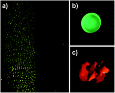 Graphical abstract: Facile detection of latent fingerprints on various substrates based on perylene probe excimer emission