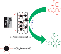 Graphical abstract: Electrostatic fabrication of oleylamine capped nickel oxide nanoparticles anchored multiwall carbon nanotube nanocomposite: A robust electrochemical determination of riboflavin at nanomolar levels