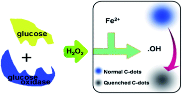 Graphical abstract: Fluorescence turn-off detection of hydrogen peroxide and glucose directly using carbon nanodots as probes
