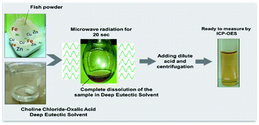 Graphical abstract: Ultra-fast microwave-assisted digestion in choline chloride–oxalic acid deep eutectic solvent for determining Cu, Fe, Ni and Zn in marine biological samples
