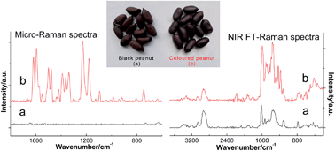 Graphical abstract: Rapid identification of black peanut seeds by confocal micro-Raman and near-infrared FT-Raman spectroscopy